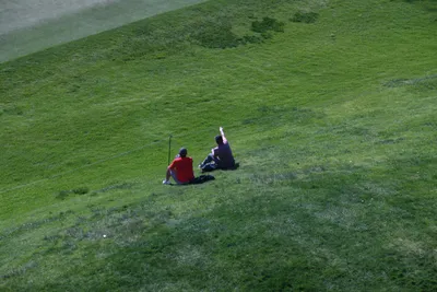 DSC_0731 (Large).JPG